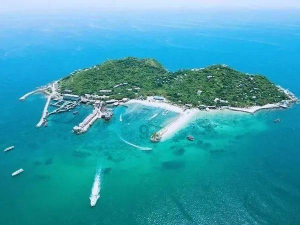 探索交流,尽在离职时如何做到体面、优雅地离开?问答平台
