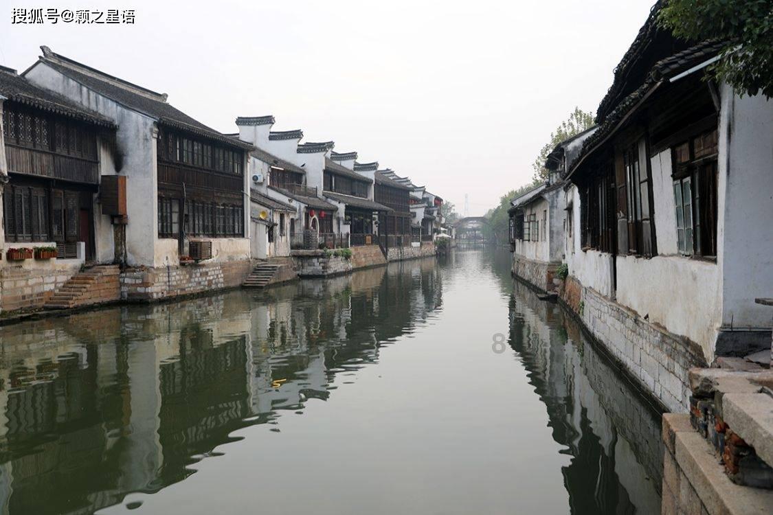 动物帮帮忙保卫家园